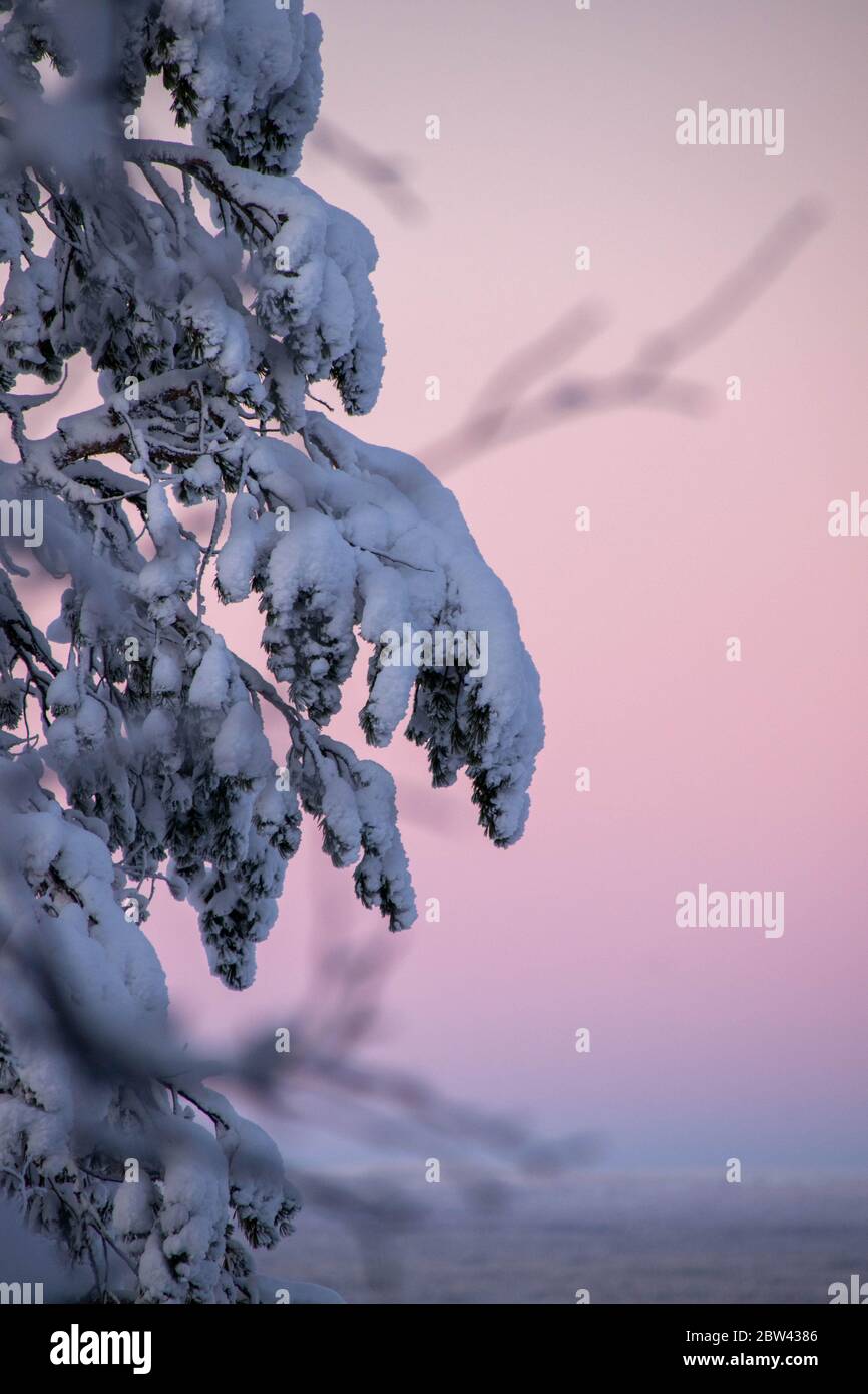 Coucher de soleil sur la neige Banque D'Images