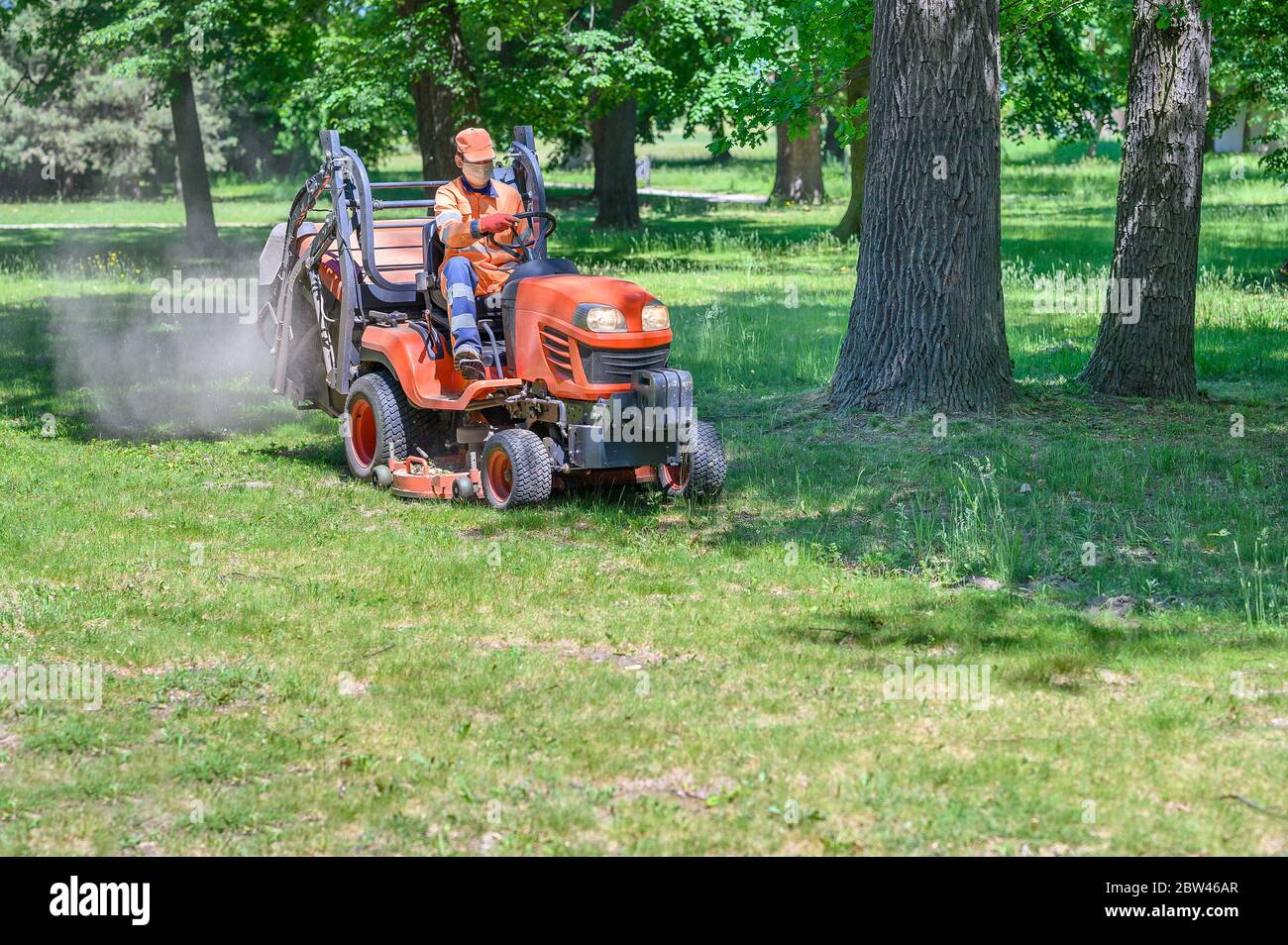 L'homme tond l'herbe sous les arbres dans le parc en faisant rouler la machine de tonte par temps ensoleillé Banque D'Images