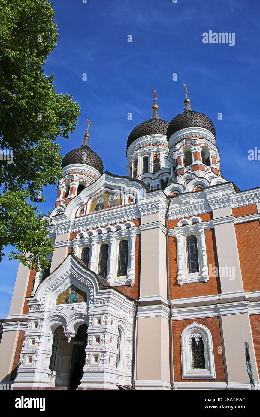 Magnifique point de repère du centre-ville ; la cathédrale Nevsky est une cathédrale orthodoxe de la vieille ville, Tallinn, Estonie. Banque D'Images