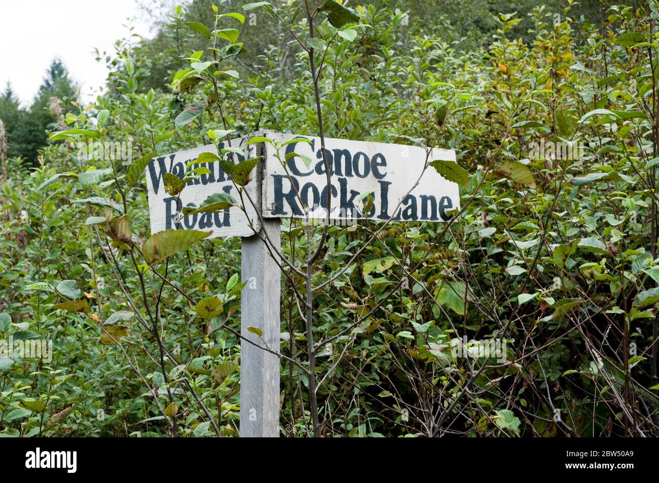 Panneaux de rue faits maison sur une route dans le village autochtone de Wuikinuxv, dans la forêt tropicale de Great Bear, Colombie-Britannique, Canada. Banque D'Images