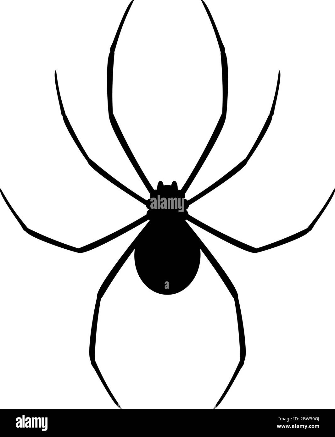 Design créatif de l'araignée noire Illustration de Vecteur