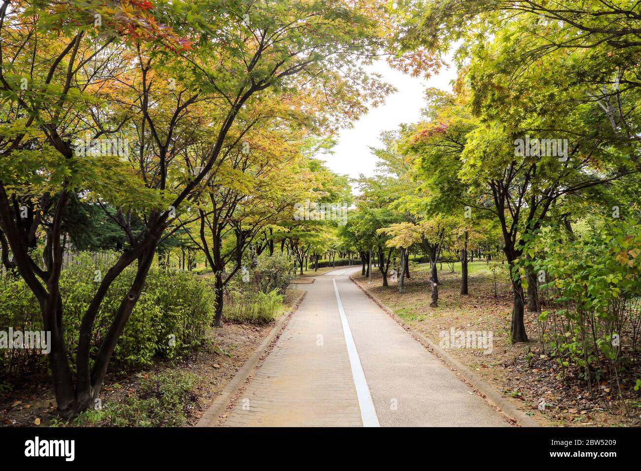 promenade dans un parc paisible aux couleurs de l'automne Banque D'Images