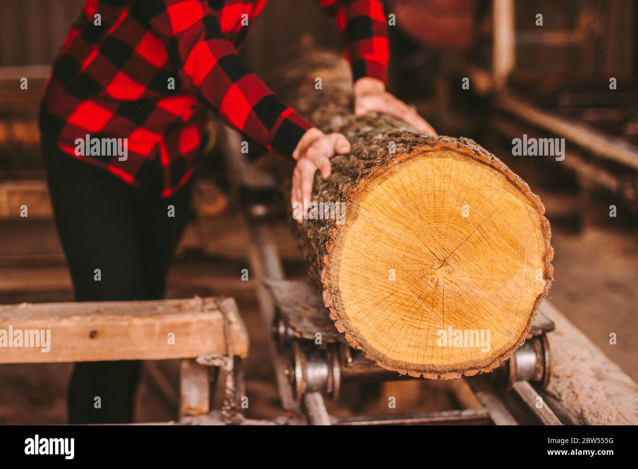 Gros plan menuisier mâle spécialisé déplaçant le bois de coupe sur la machine à scier à l'entrepôt de travail du bois. Travailleur professionnel de scierie scierie sciant du bois sur un sanglier Banque D'Images