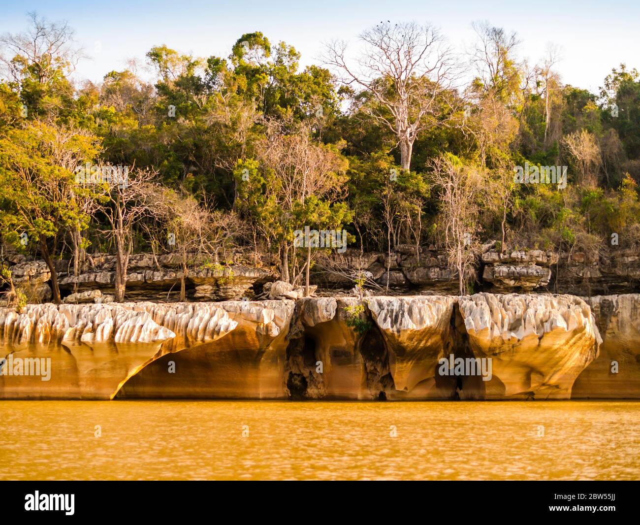 Formations de pierres impressionnantes sur les rives de la rivière Manambolo, réserve naturelle Tsingy de Bemaraha strict, Madagascar Banque D'Images