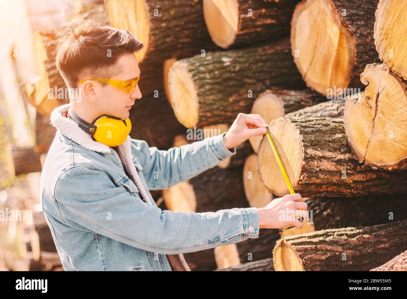 Le coupe-bois dans les verres de protection et les écouteurs vérifie la taille des grumes d'arbre coupées avec du ruban de mesure à la scierie. Homme forestier, menuisier à l'aide de ruban de mesure a Banque D'Images