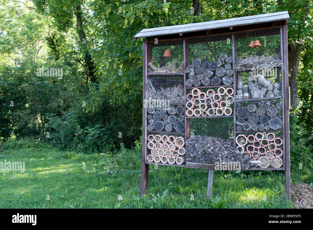 Chambre pour les insectes dans la forêt Banque D'Images