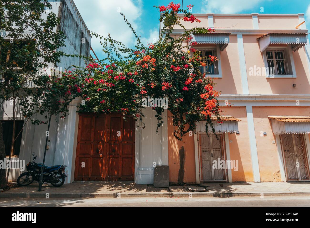 Un arbre en fleur se déverse derrière une porte dans l'ancienne colonie coloniale française de White Town, Pondichéry, Inde Banque D'Images