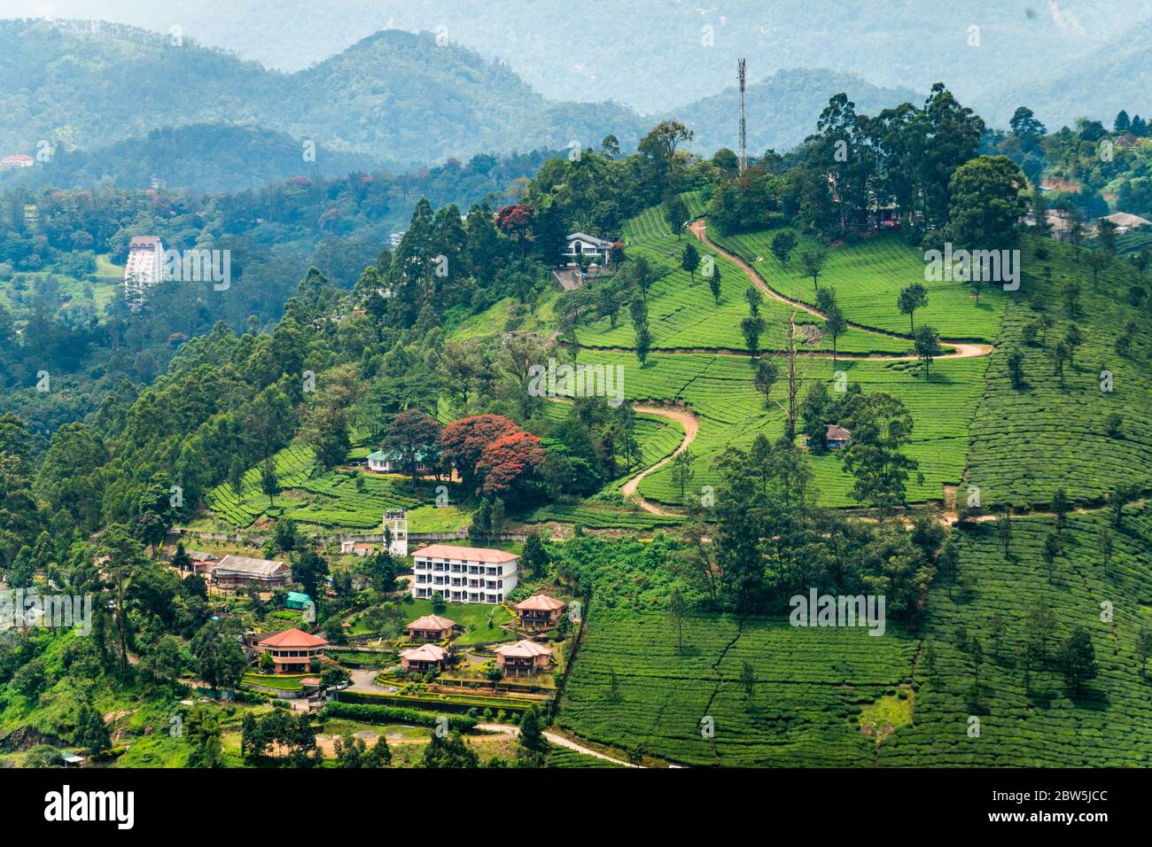 Bureaux d'usine, maisons parmi les plantations de thé à Munnar, Inde Banque D'Images