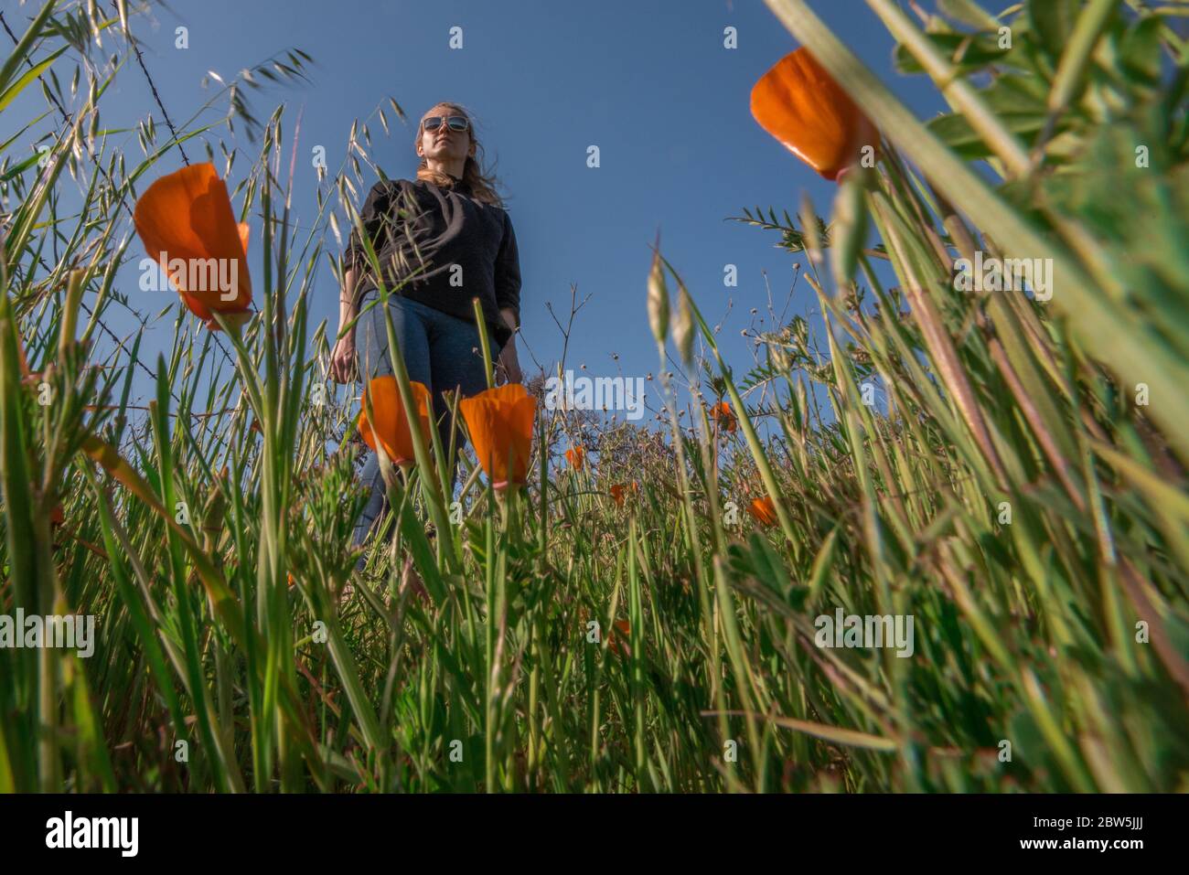 Une femme blonde debout dans l'herbe vue de la perspective d'un insecte dans l'herbe. Angle inhabituel par dessous. Banque D'Images