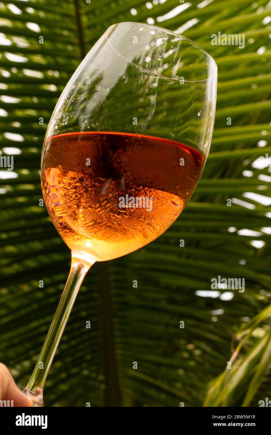 Verre de cristal avec vin de rose dans une attitude de toast. Concept haut de gamme. Boisson alcoolisée douce et rafraîchissante à base de raisin. Banque D'Images