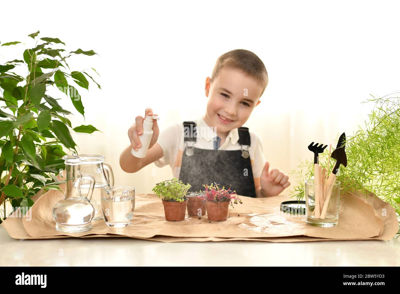 Prenez soin des micro-légumes dans les pots. L'enfant souriant et qui s'accroupise regarde le jet dans l'air. Banque D'Images
