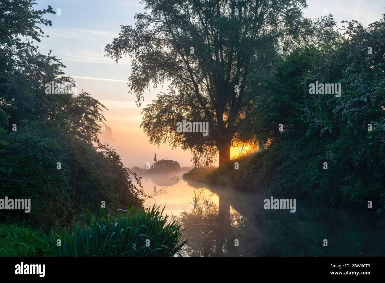 Bateau-canal dans la brume sur le canal d'oxford le matin du printemps au lever du soleil. Près de Somerton, Oxfordshire, Angleterre Banque D'Images