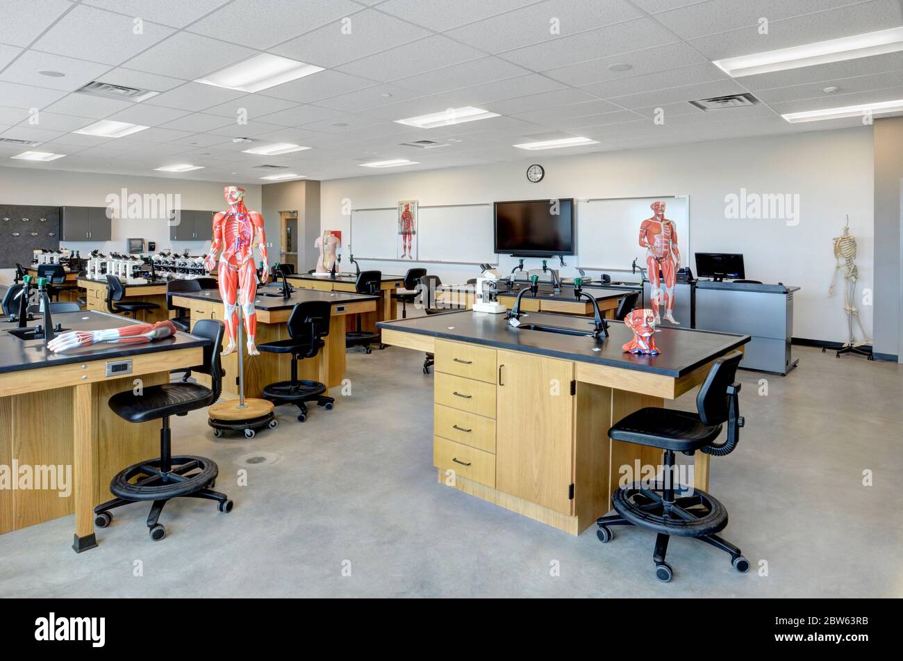 École Anatomie classe Banque D'Images