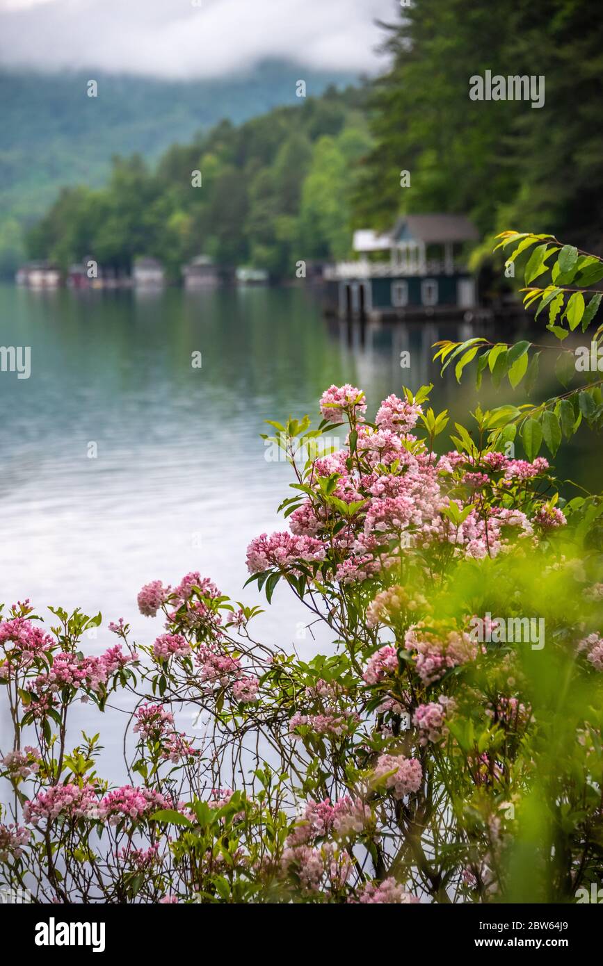 Magnifique lac Rabun, niché dans les montagnes Blue Ridge à Lakemont dans le comté de Rabun, en Géorgie. (ÉTATS-UNIS) Banque D'Images