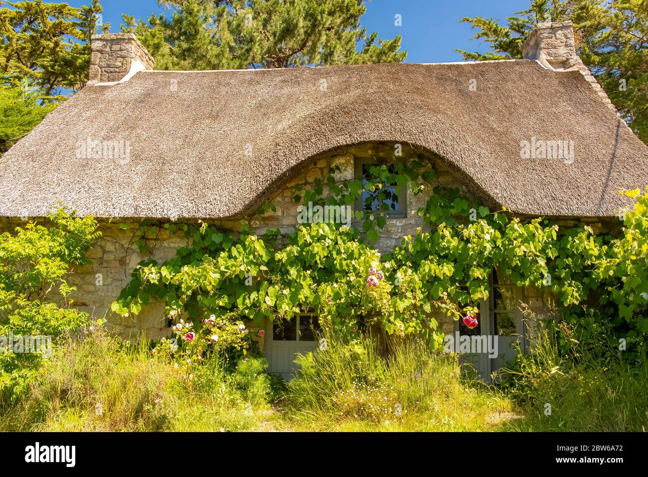 Bretagne, Ile aux Moines dans le golfe du Morbihan, un cottage typique de chaume hors saison, avec des roses dans le jardin Banque D'Images