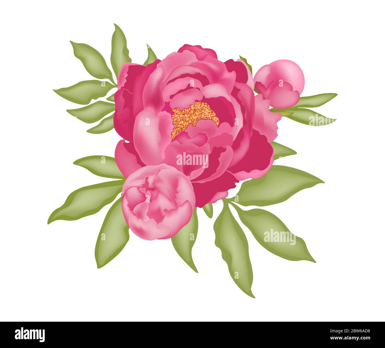 Pivoine rose avec bourgeons et feuilles vertes, isolée sur fond blanc, illustration vectorielle avec effet 3D. Pour le design et la décoration, le logo, l'impression, Banque D'Images