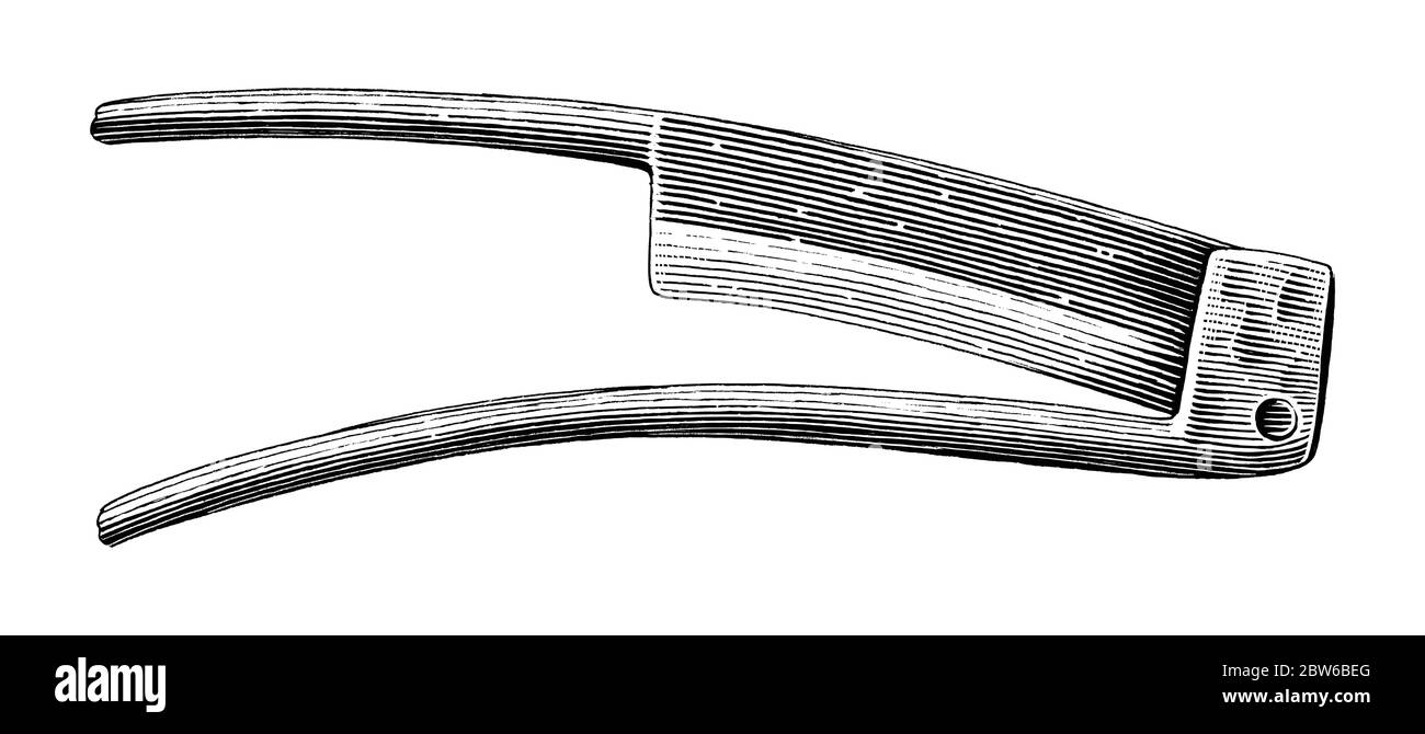 Vintage Paring couteau dessin main gravure illustration noir et blanc clip art isolé sur fond blanc Illustration de Vecteur