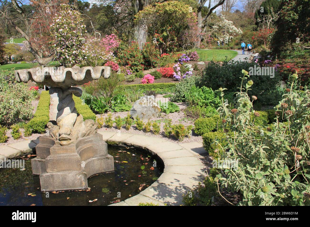 Jardins botaniques de Birmingham en Angleterre, Royaume-Uni Banque D'Images