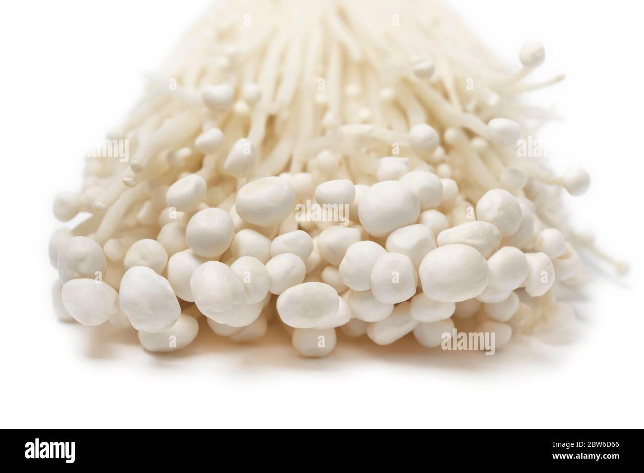 Groupe de champignons enokii blancs frais cultivés, isolés sur fond blanc Banque D'Images