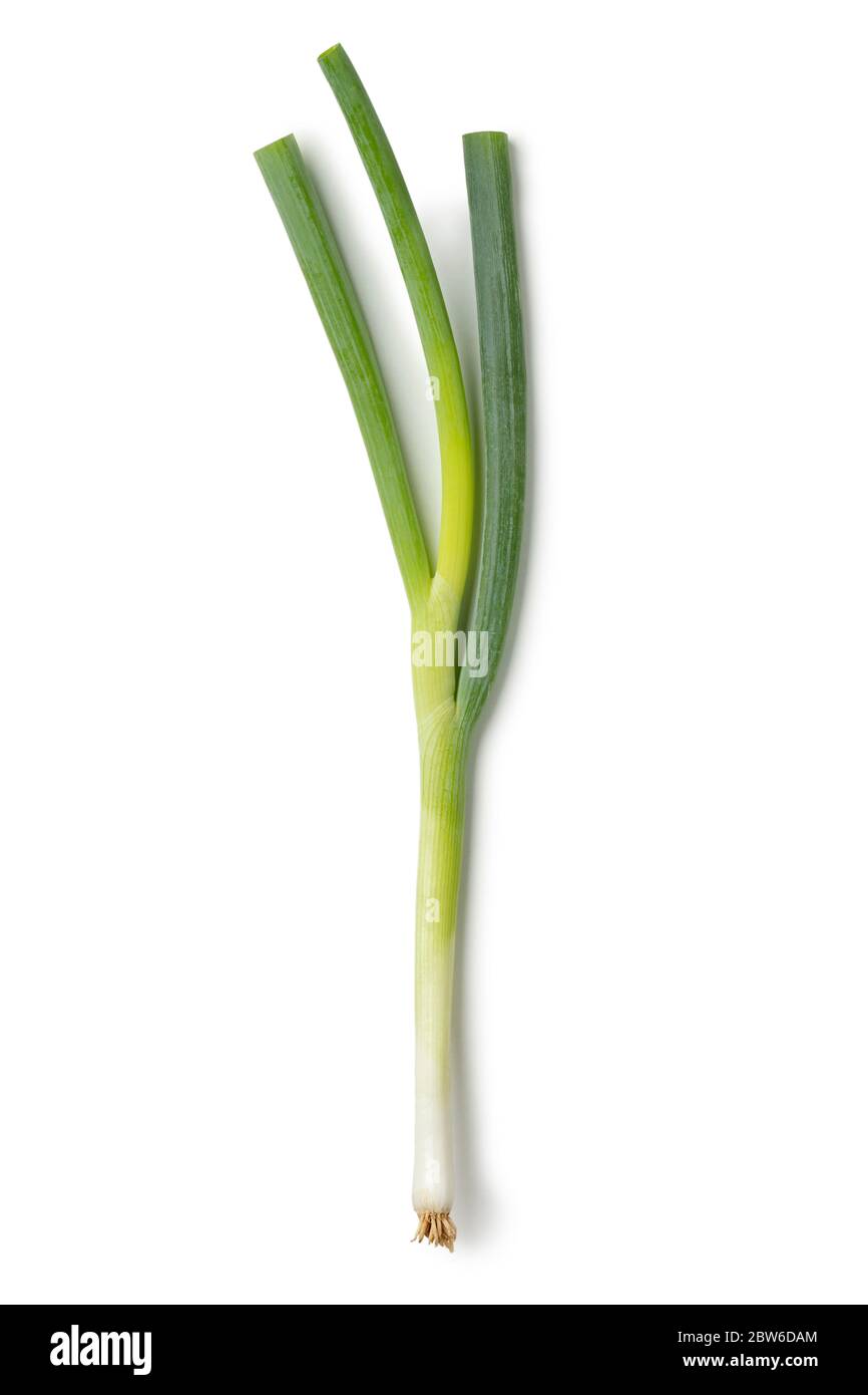 Un petit oignon de printemps frais isolé sur fond blanc Banque D'Images