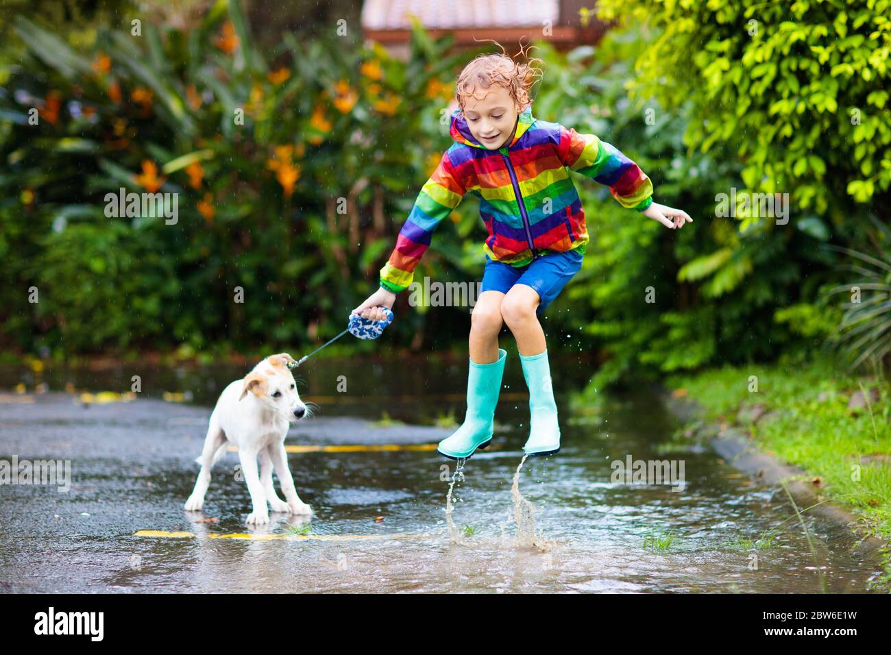 Enfant et chien jouant sous la pluie dans le parc d'automne. Enfant  marchant chiot. Un petit garçon sautant dans une flaque boueuse le jour de  l'automne pluvieux. Bottes et veste de pluie,