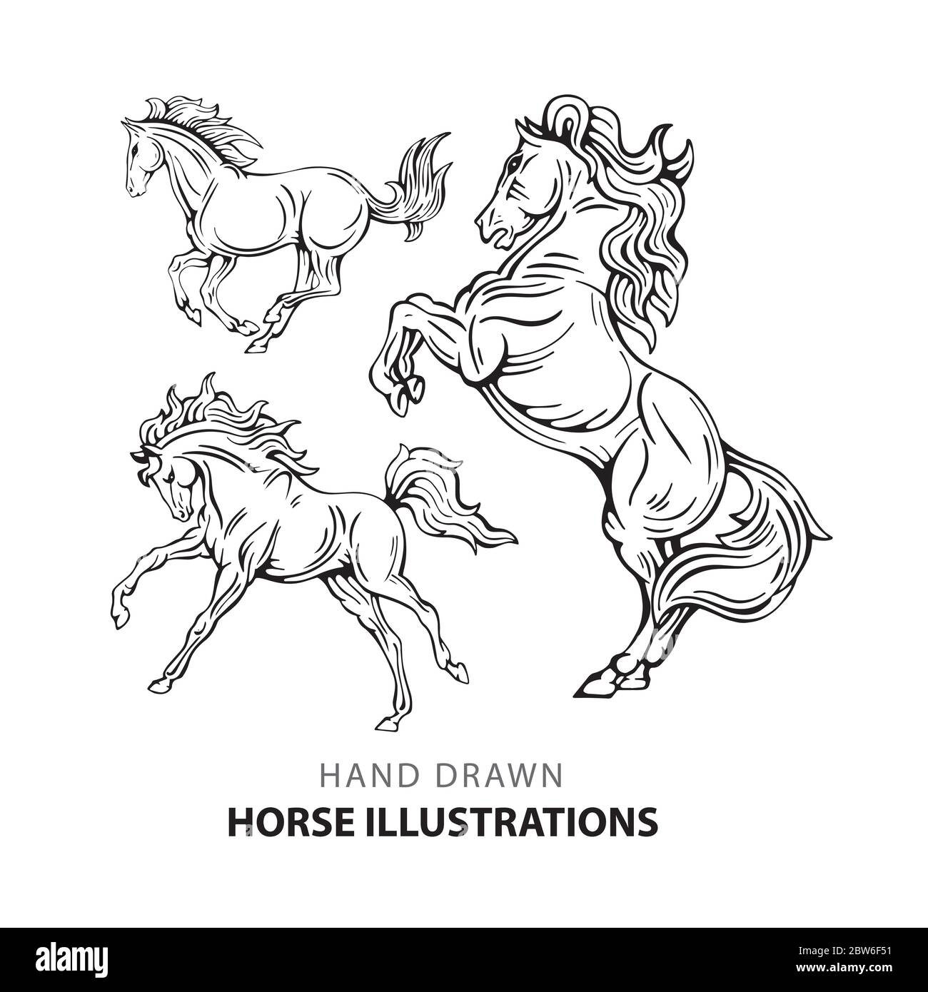 Cheval. Jeu d'illustrations de chevaux dessinées à la main. Esquisser des chevaux de dessin dans différentes poses. Partie de l'ensemble. Illustration de Vecteur