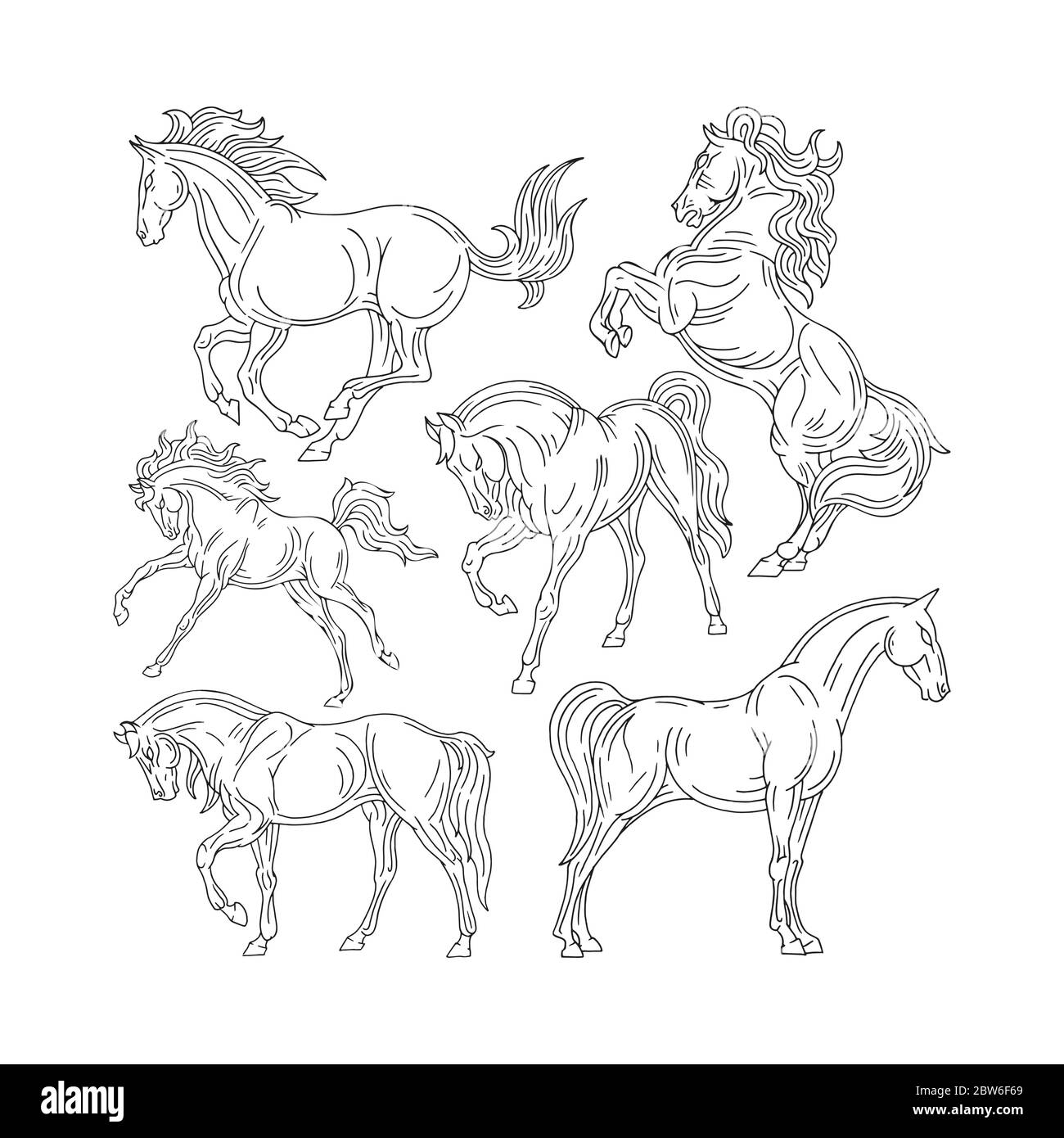 Cheval. Jeu d'illustrations de chevaux dessinées à la main. Esquisser des chevaux de dessin dans différentes poses. Partie de l'ensemble. Illustration de Vecteur