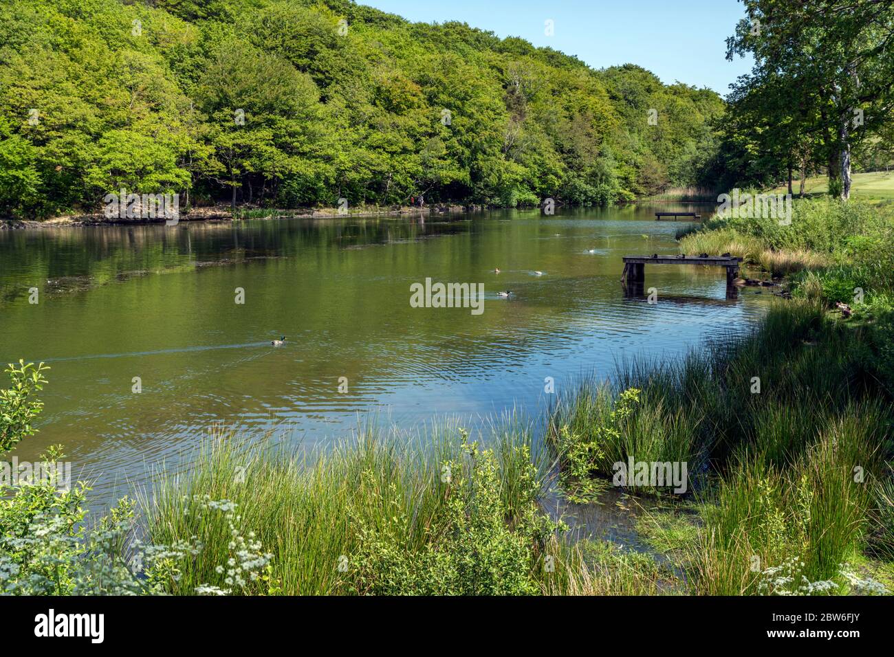 Meltham Mills Reservoir près de Holmfirth dans le West Yorkshire Banque D'Images