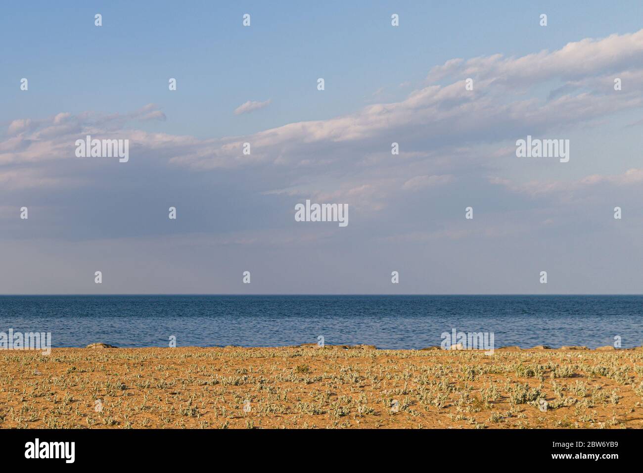 Lignes de sable lisses avec le chou, la mer et le ciel avec des nuages sur fond. Banque D'Images