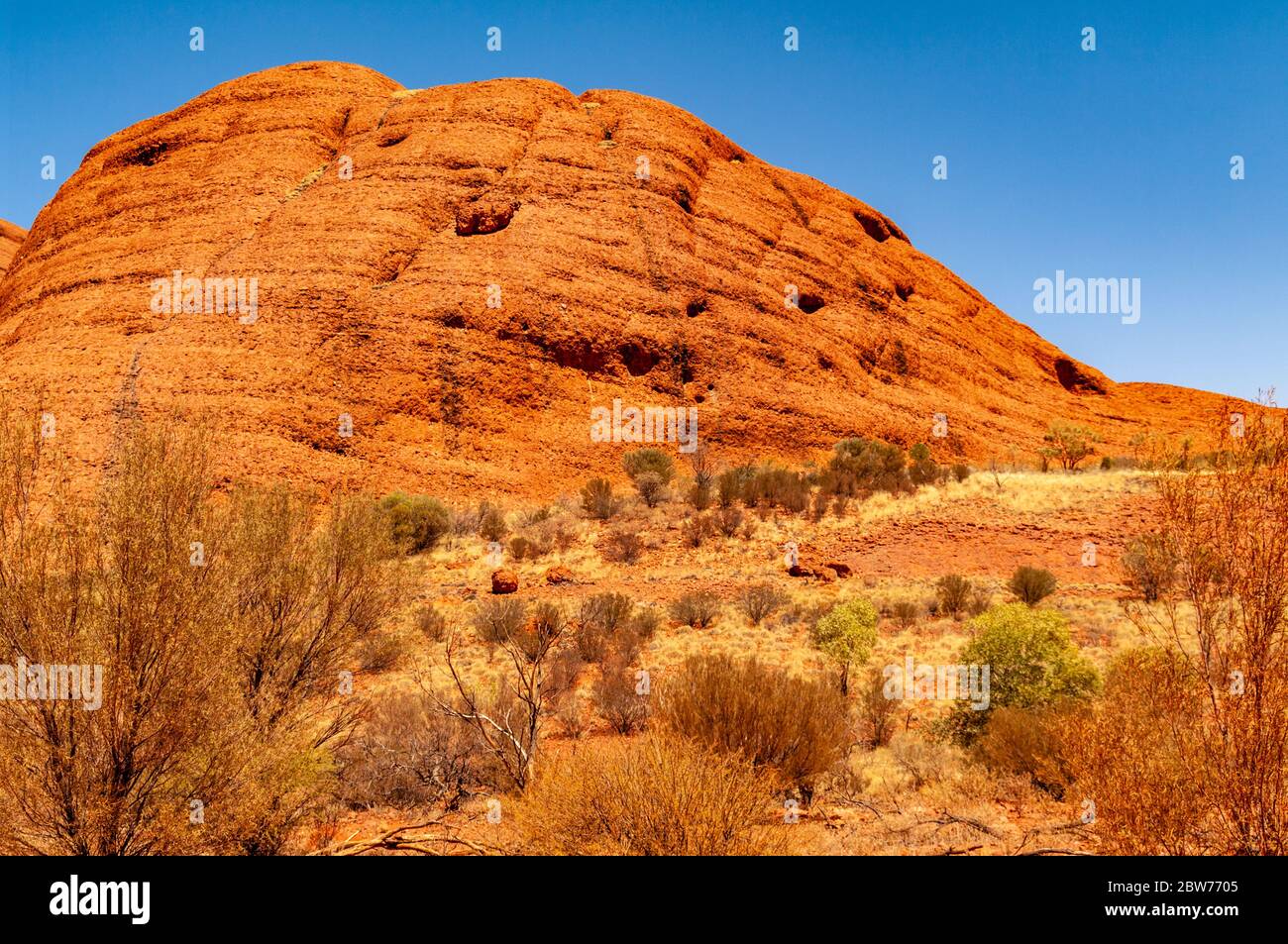 KATA TJUTA / THE OLGAS, TERRITOIRES DU NORD, AUSTRALIE Banque D'Images