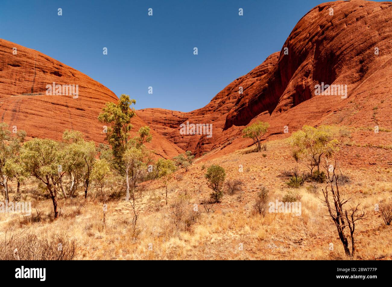 KATA TJUTA / THE OLGAS, TERRITOIRES DU NORD, AUSTRALIE Banque D'Images