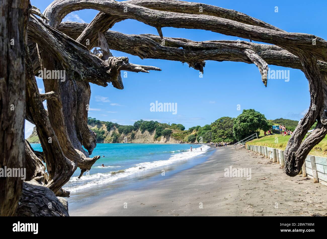 Auckland,Nouvelle-Zélande - février 14,2016 : On peut voir jouer et explorer la péninsule de Whangaparaoa dans la baie de l'Armée à Auckland, Nouvelle-Zélande. Banque D'Images