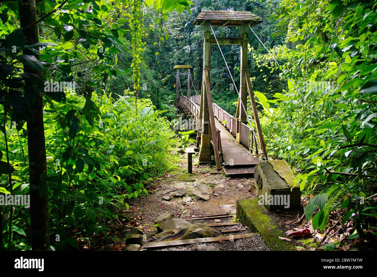 Pont suspendu menant à la Maison de la Forêt (Maison de la Forêt) à Basse-Terre, Guadeloupe Banque D'Images