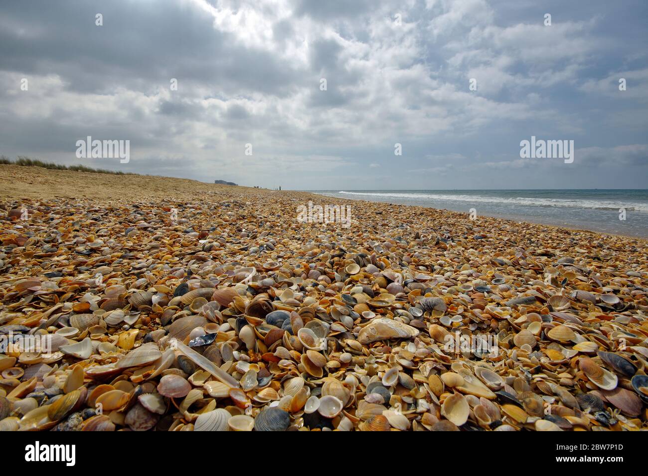 Le paysage de la plage de coquillages situé dans le parc national de Coto de Donana en Andalousie, Espagne Banque D'Images