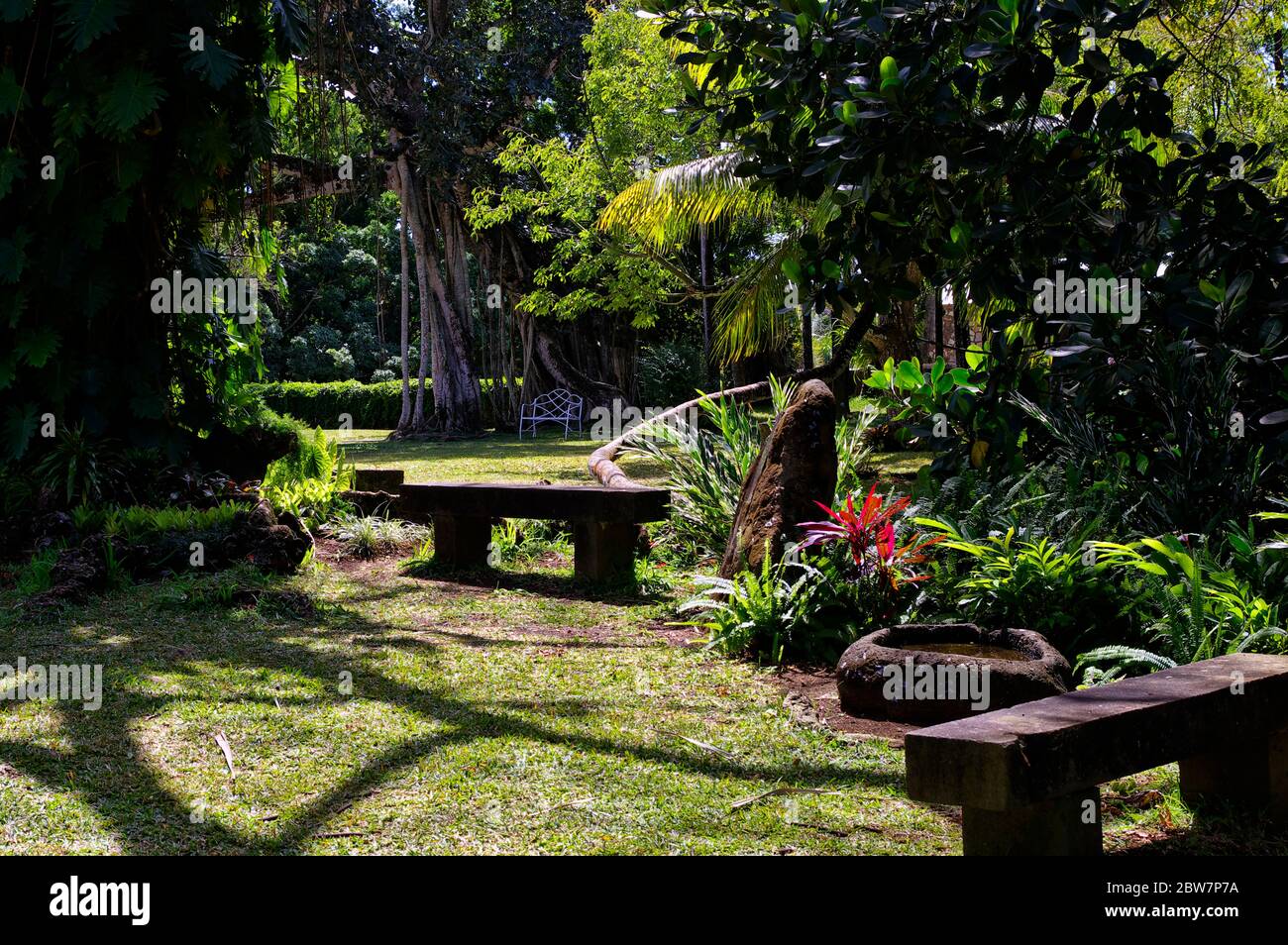 Une belle vue sur le jardin exotique avec de vieux bancs dans le Château de Labordonnais, un palais colonial, Rivière du Rempart, Maurice Banque D'Images