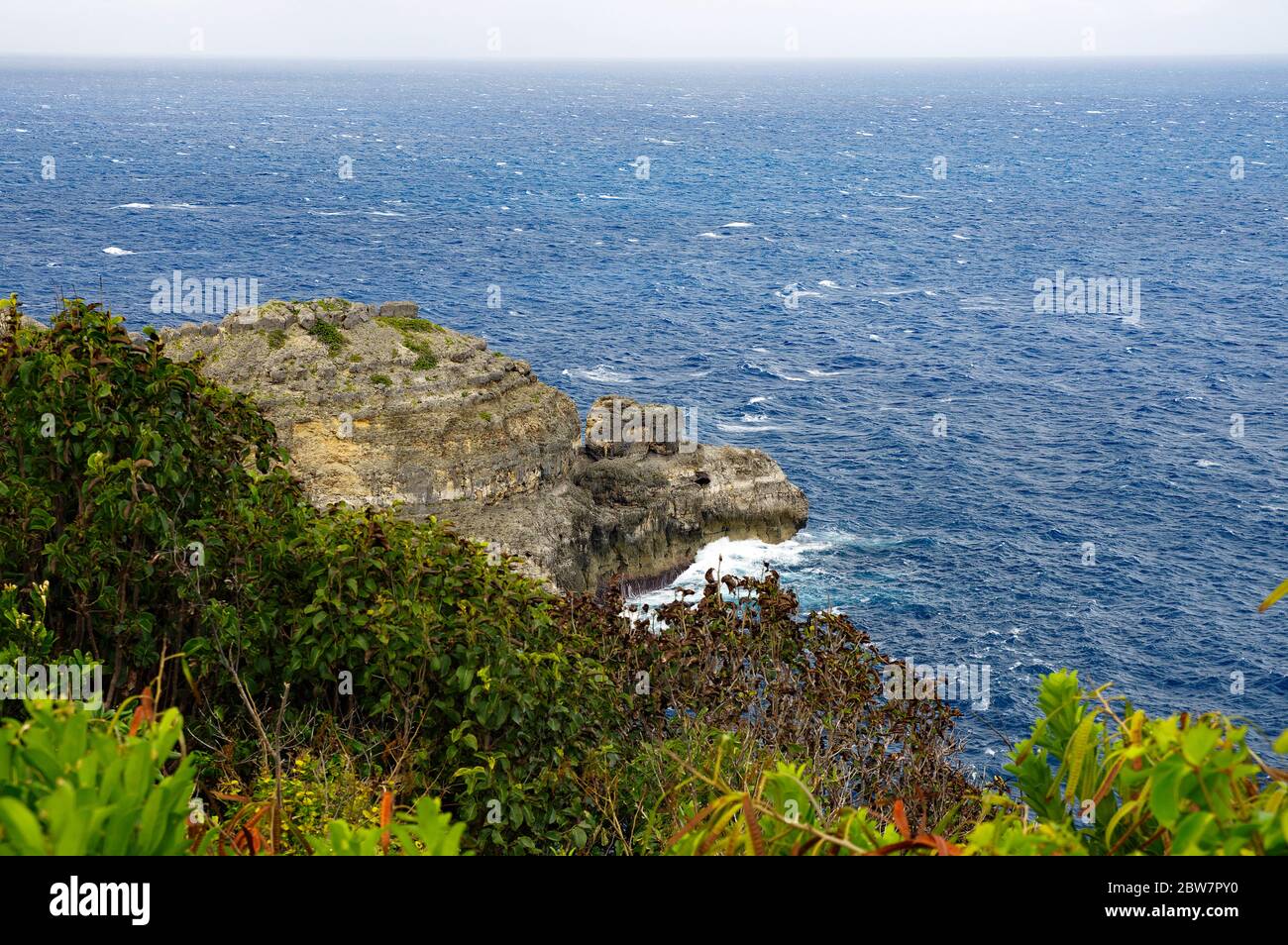 La Pointe de la Grande-Vigie est située au nord de Grande-Terre en Guadeloupe, Antilles françaises, Caraïbes. Les hautes falaises de 80 mètres, la créatine Banque D'Images