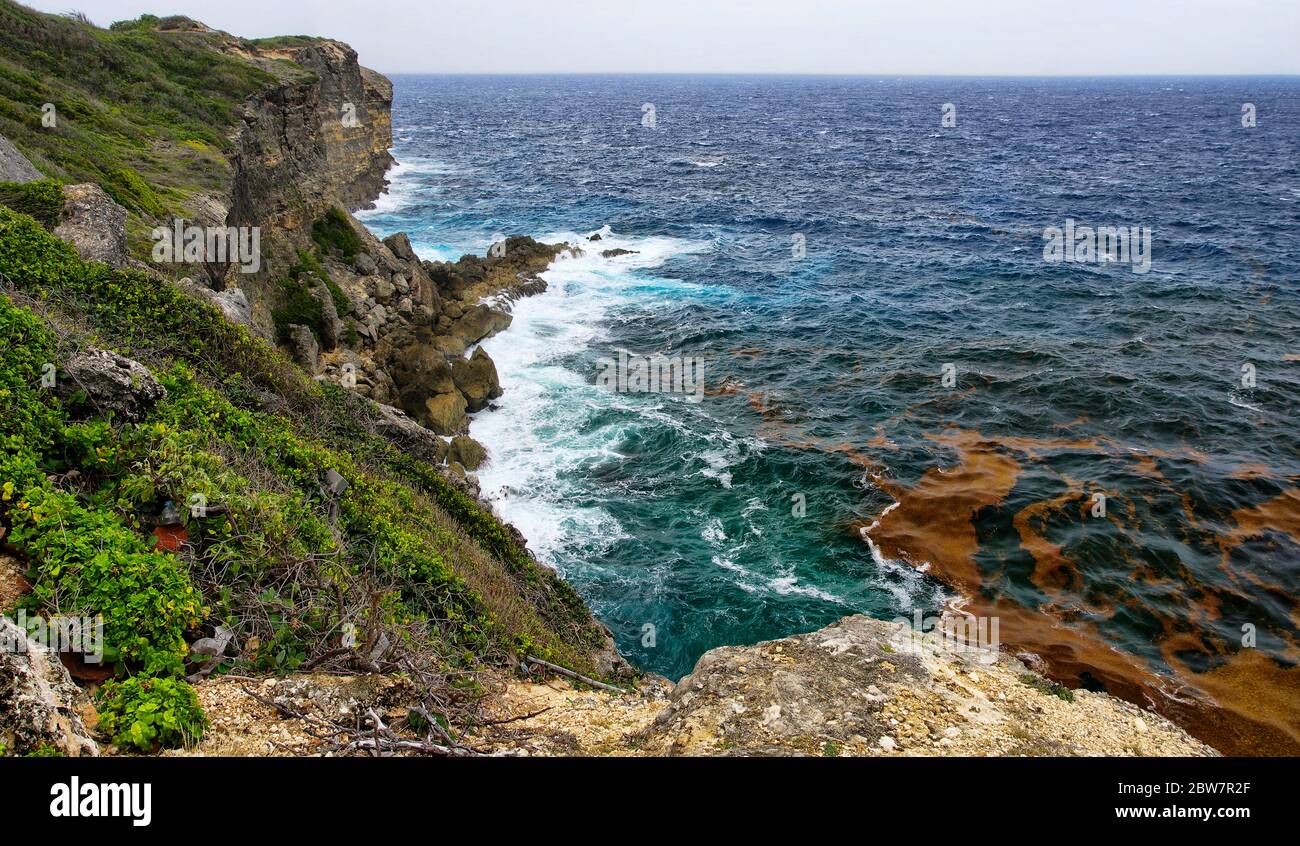 La Pointe de la Grande-Vigie est située au nord de Grande-Terre en Guadeloupe, Antilles françaises, Caraïbes. Les hautes falaises de 80 mètres, la créatine Banque D'Images