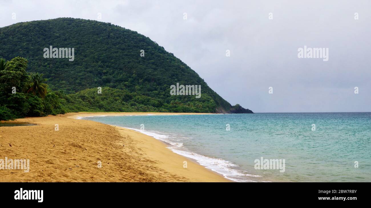 BASSE-TERRE/GUADELOUPE - 08 JANVIER 2019 : personnes prenant un bain de soleil au coucher du soleil sur la belle plage de Grande-Anse sur Basse-Terre sur l'île de la Guadeloupe Banque D'Images