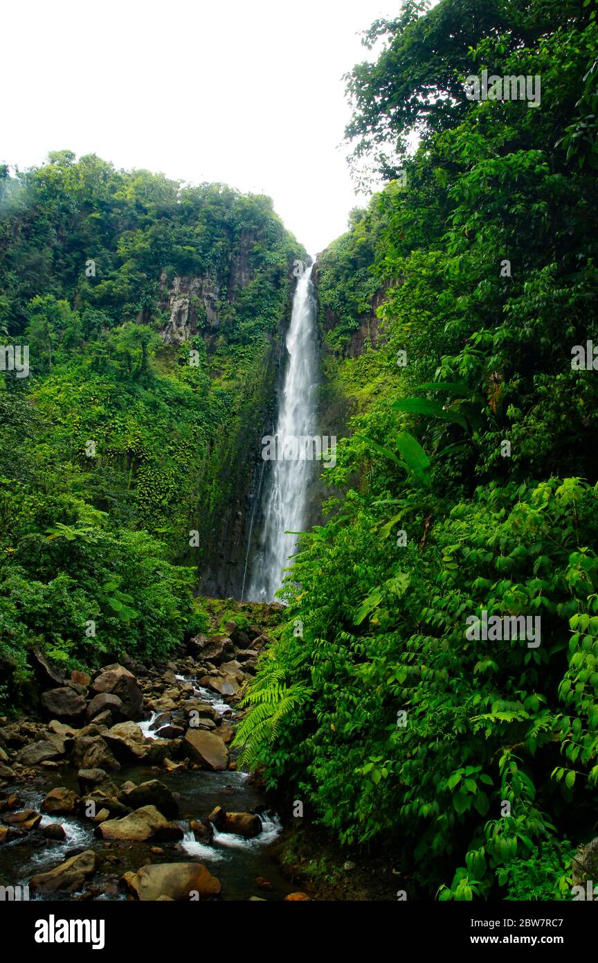 Chute du Carbet - deuxième Carbet - une des trois chutes d'eau dans une forêt tropicale située à Basse-Terre, Guadeloupe Banque D'Images