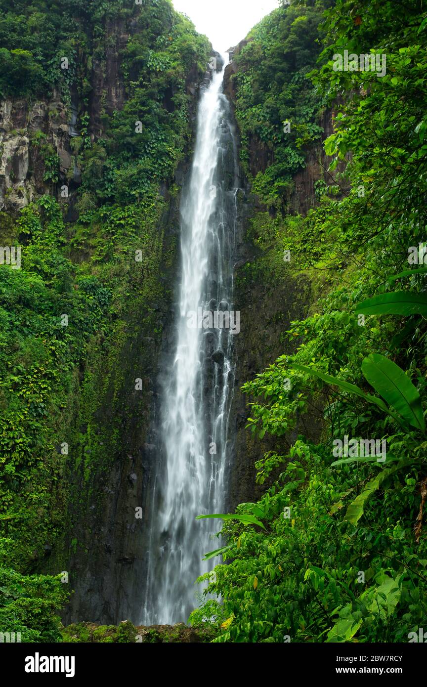 Chute du Carbet - deuxième Carbet - une des trois chutes d'eau dans une forêt tropicale située à Basse-Terre, Guadeloupe Banque D'Images