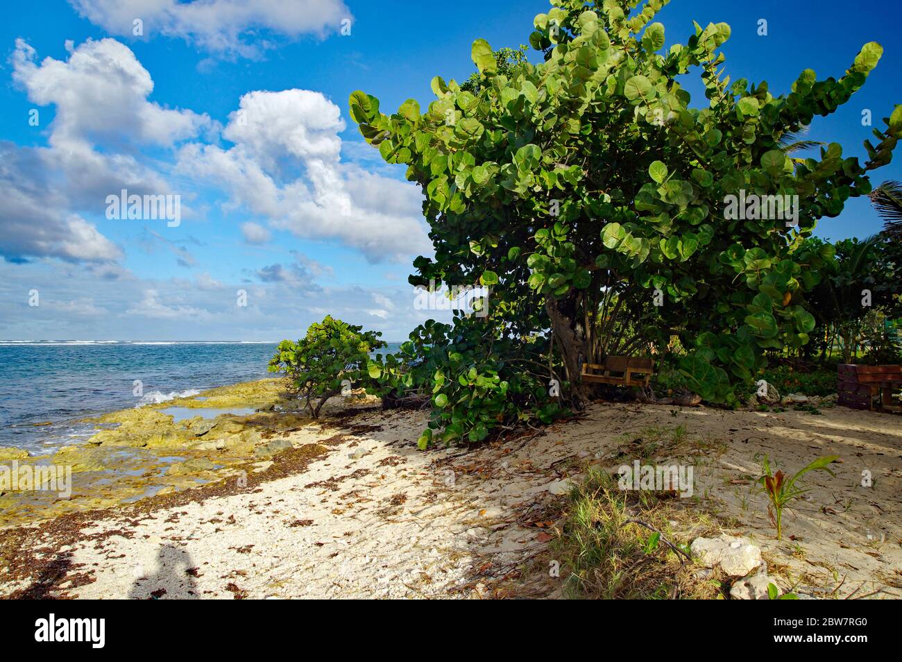 Autre plage de bord à le Moule en Guadeloupe, antilles françaises. Antilles néerlandaises, mer des Caraïbes Banque D'Images