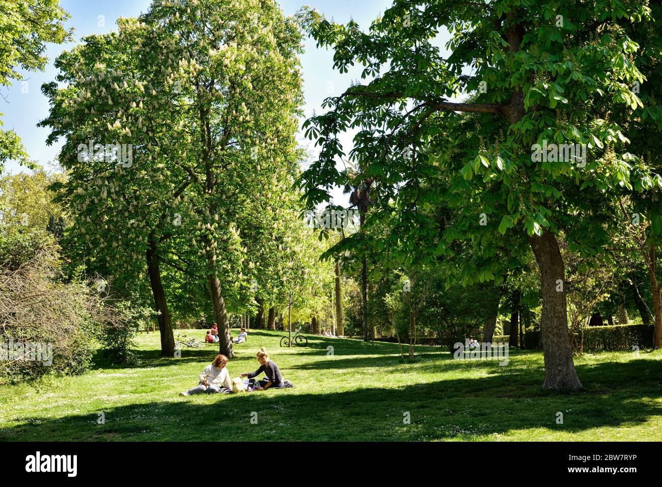 MADRID / ESPAGNE - 12 AVRIL 2019 - famille assise sous un beau arbre dans les jardins publics de la bonne retraite (Jardines del Buen Retiro). Banque D'Images