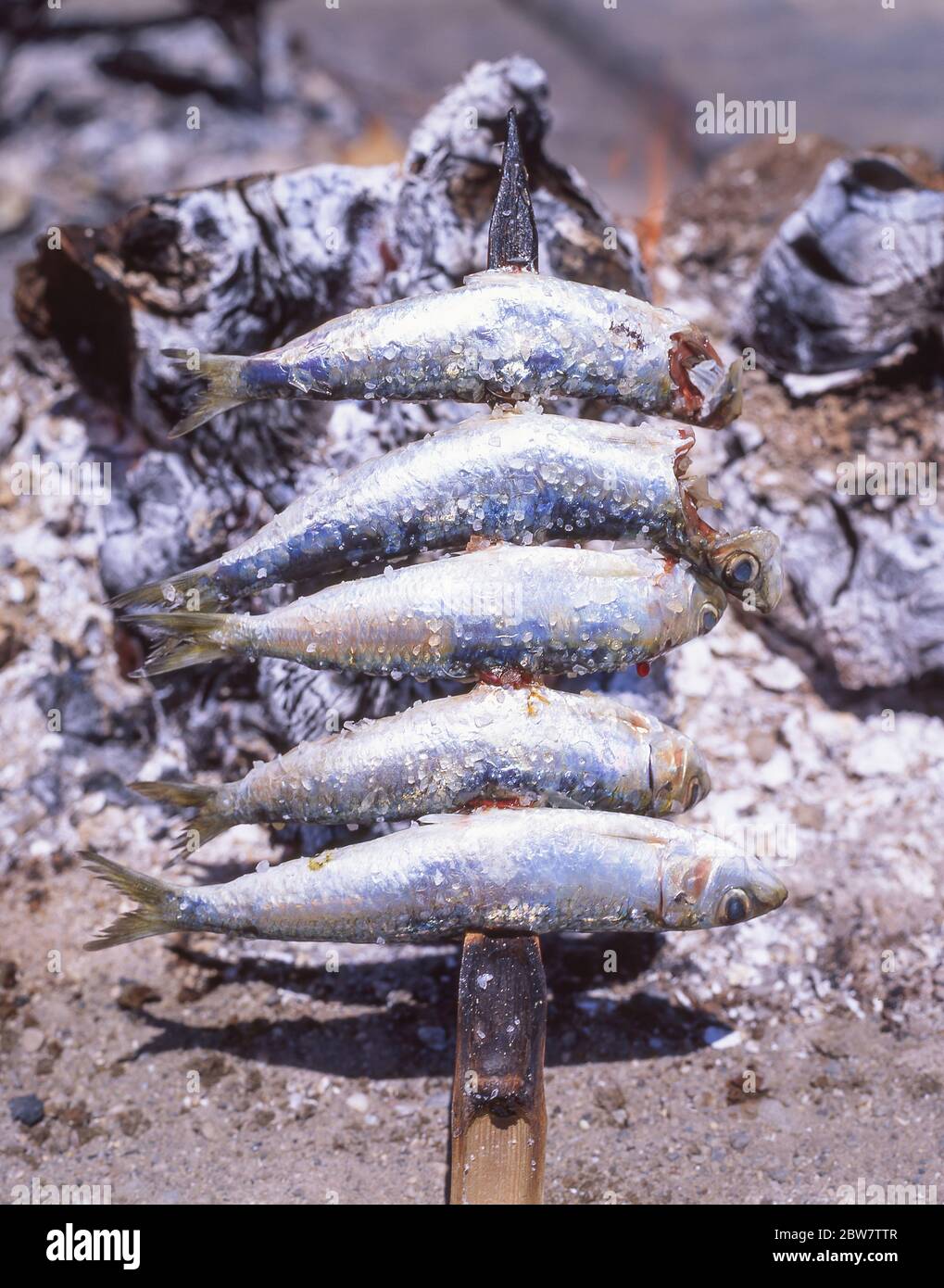 Des sardines fraîches sont cuites au barbecue sur la plage, Praia da Rocha, Portimão, région de l'Algarve, Portugal Banque D'Images