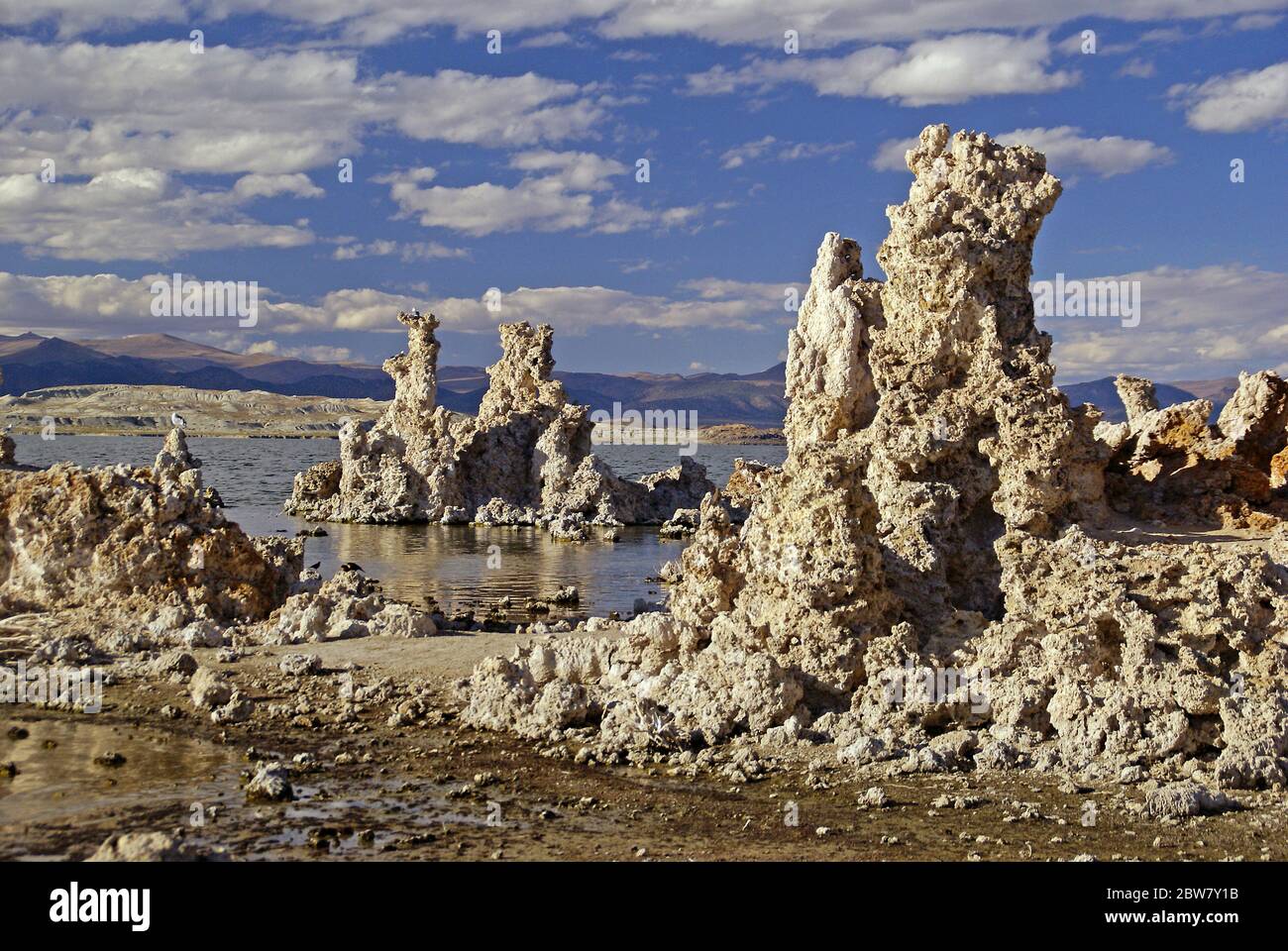 Formations tufa à South tufa, Lac Mono près de Lee Vining en Californie. Banque D'Images