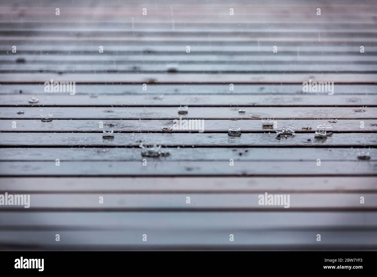 Gouttes d'eau sur une surface de plancher en bois.goutte d'eau sur le bois avec raindrop après une pluie avec espace de copie.peinture résistante à l'eau et protéger le bois dur Banque D'Images