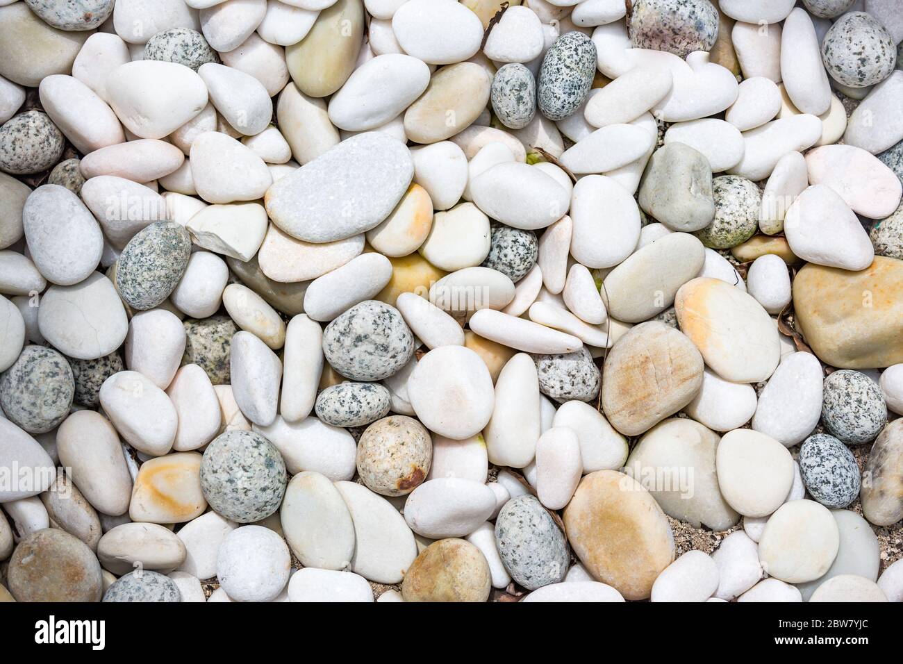 Résumé pebbles ronds lisses fond de texture de mer. Résumé nature Pebbles fond. Texture de galets bleus Banque D'Images