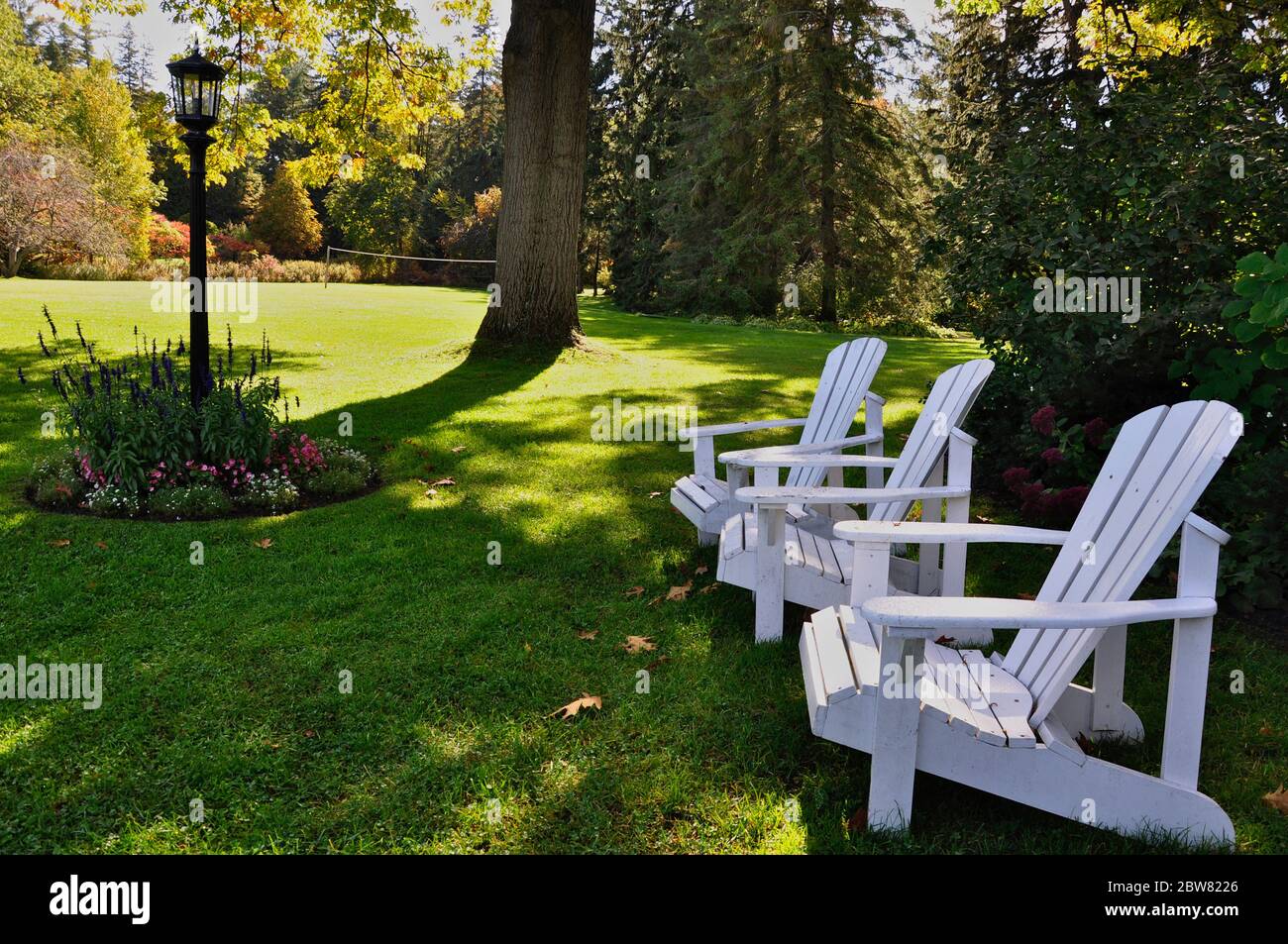 Des chaises de Muskoka sont disposées sur la cour avant d'un centre de villégiature touristique en Ontario, au Canada Banque D'Images