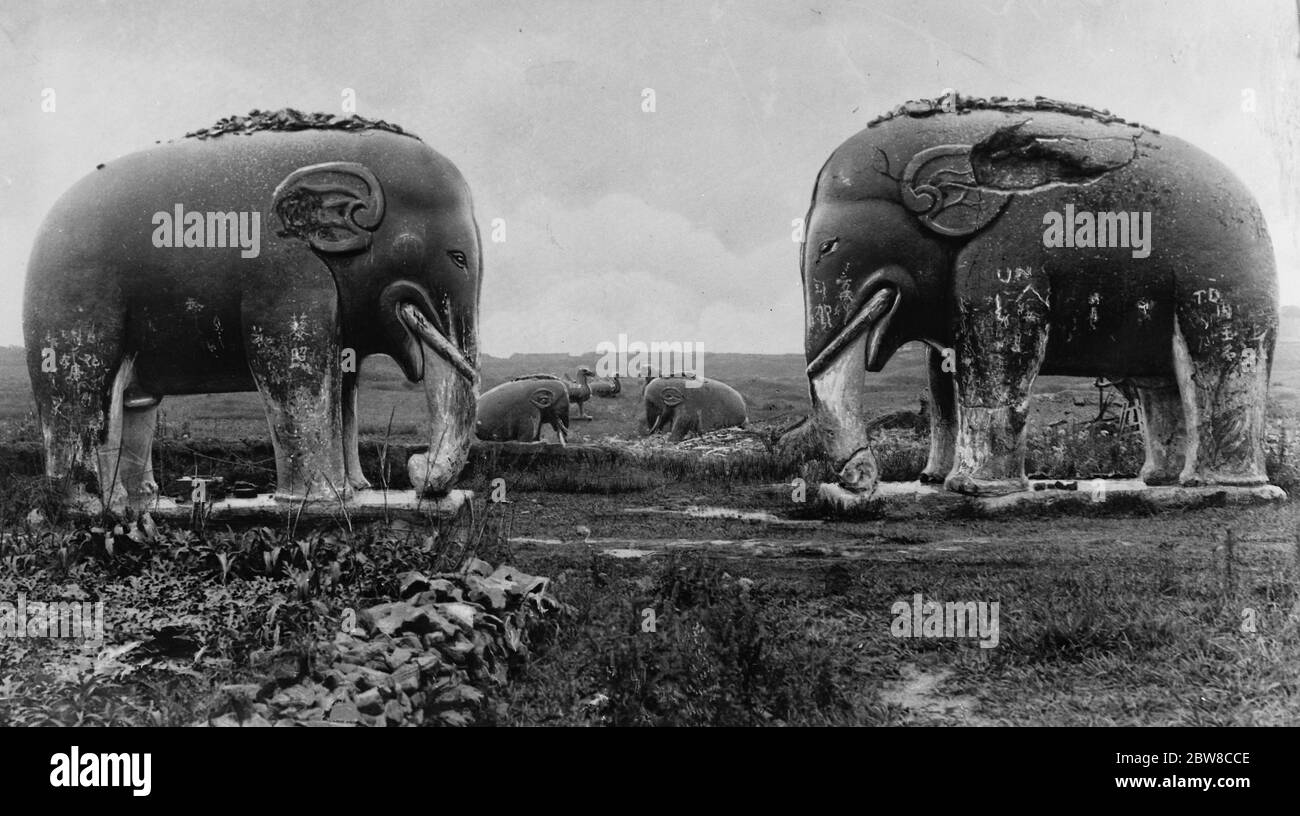 Maintenant dans Peril de capture . Nanking , certains des éléphants de pierre dans l'avenue zoologique menant aux tombes du roi . 15 mars 1927 Banque D'Images