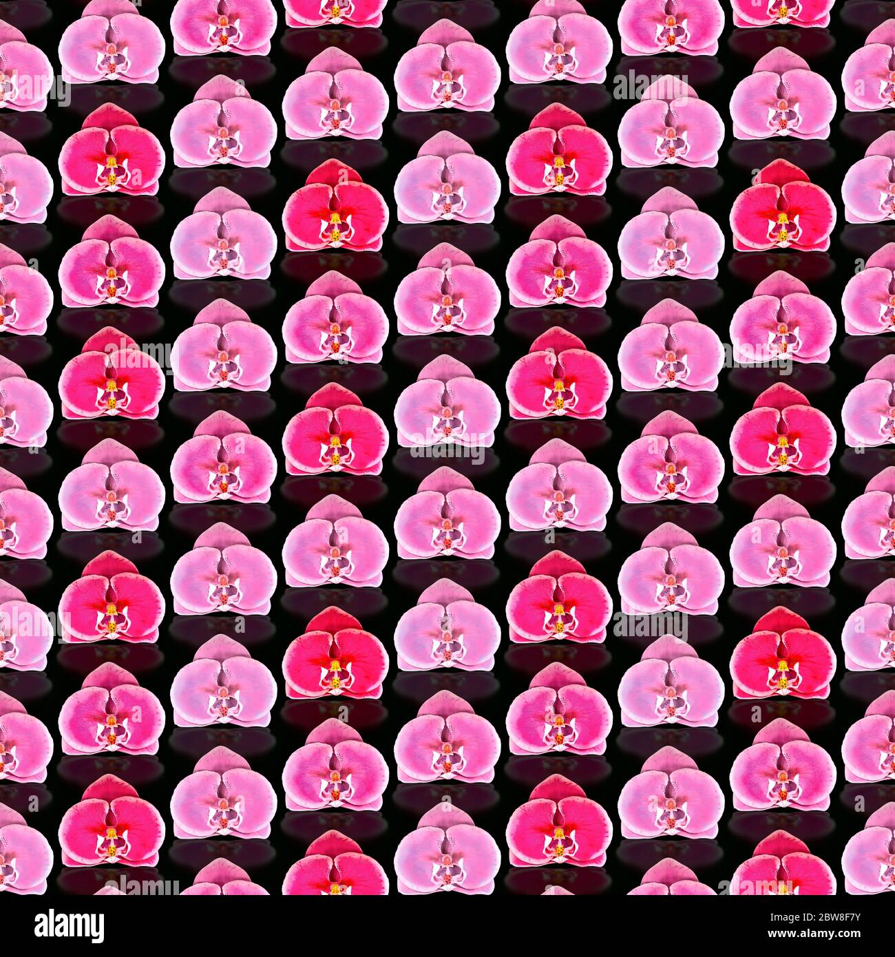 Motif de fleurs d'orchidées rouges et roses sans couture Banque D'Images