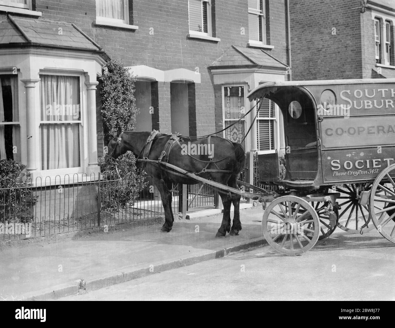 Co - panier d'op cheval manger un Bush . 1937 Banque D'Images